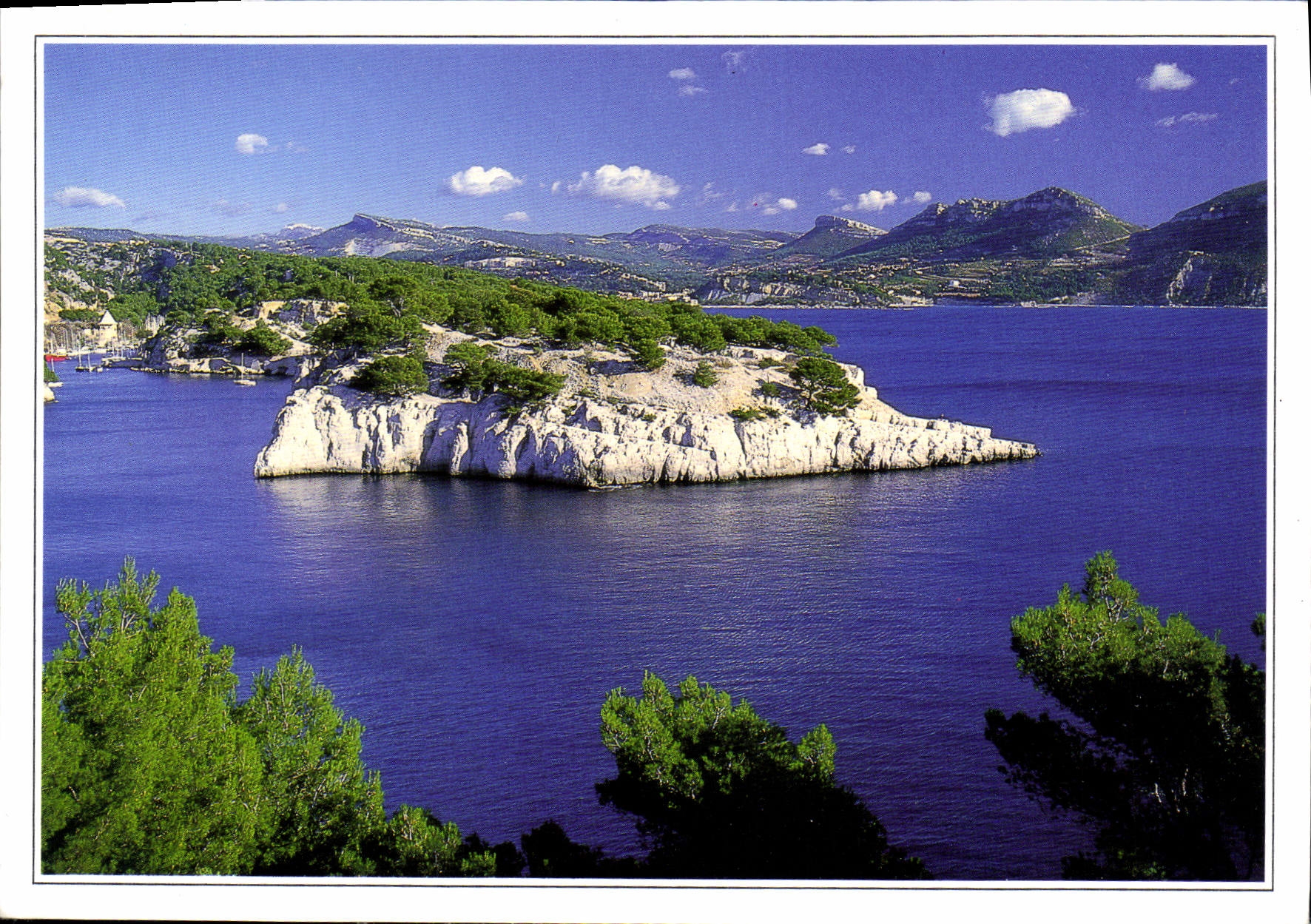 CPM Cassis sur Mer 