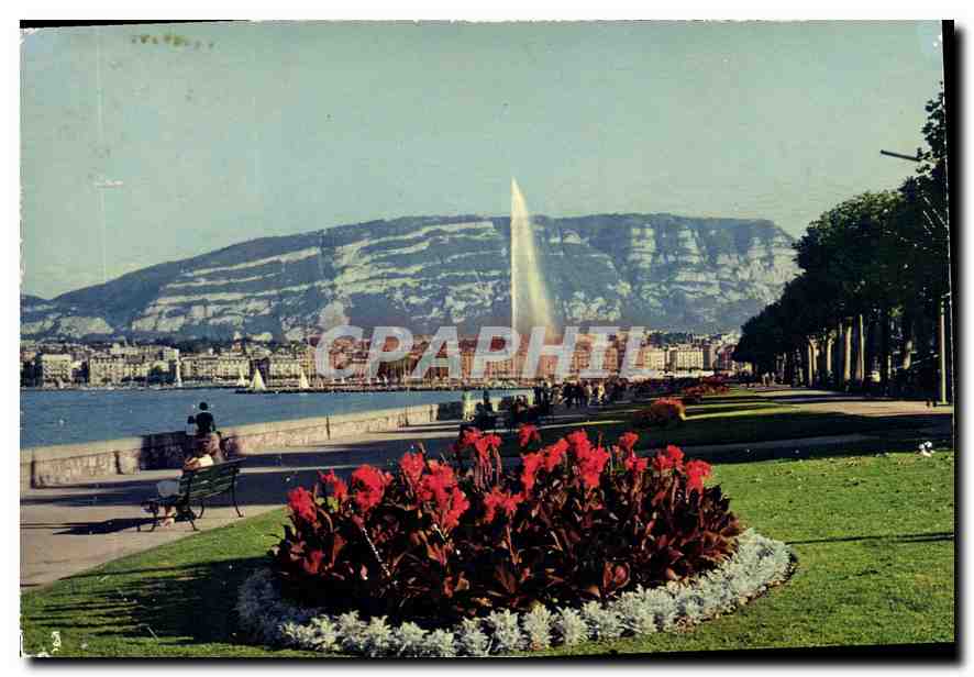 CPM Geneve le Quai Wilson et le Jet d'eau 