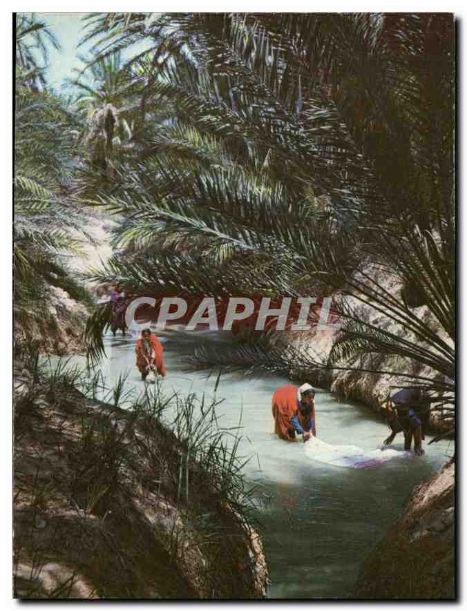 CPM Tunisie les Lavandieres de l'Oasis 