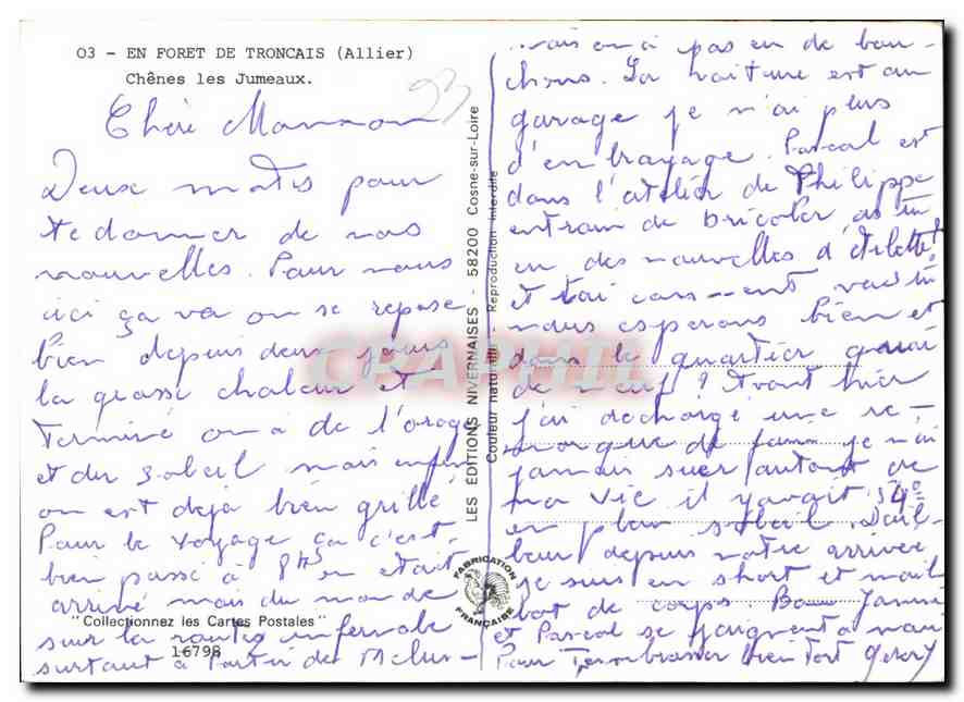 CPM En Foret de Troncais Allier Chenes les Jumeaux  — Verso