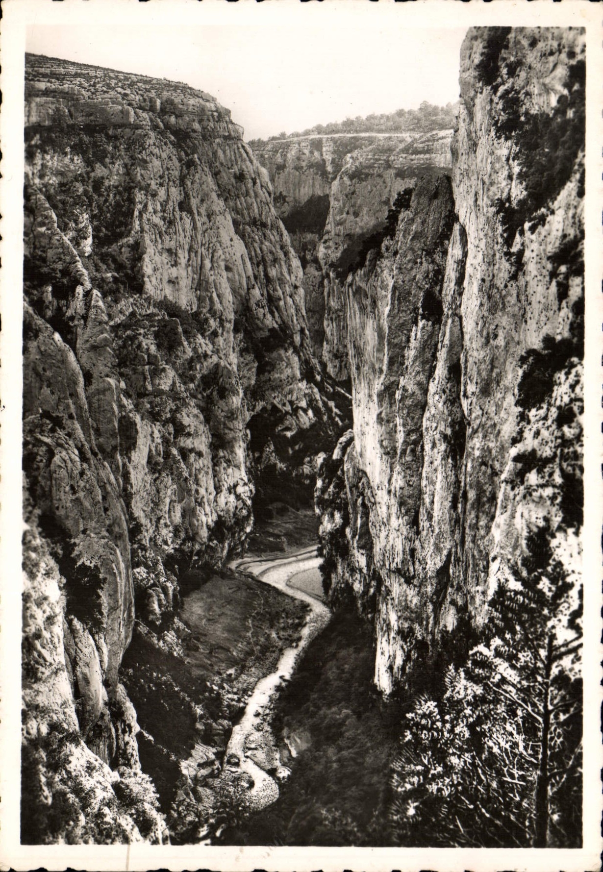 CPM Grand canon du Verdon Par les sentiers et Par le fond les Falaises du Baucher 