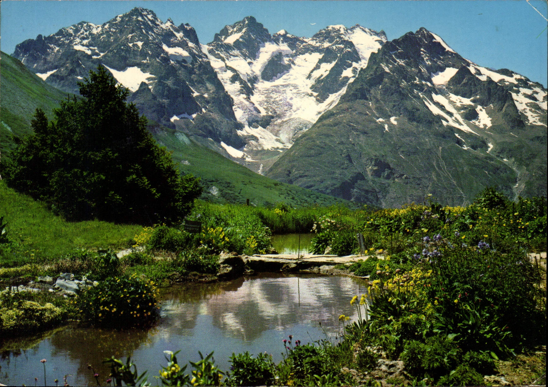 Le Jardin Alpin au Col du Lautaret — (2058 m.) et Massif de la Meije (3983 m.) — Villes Jumelées Briançon-Rosenheim, PE 12