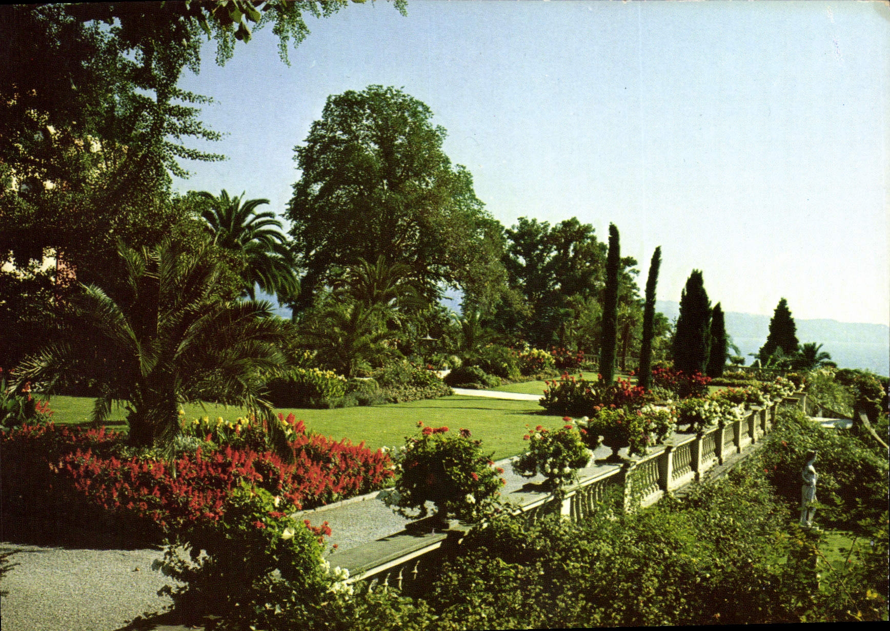 CPM Ile de Mainau au Lac de Constance Terrasse du chateau 