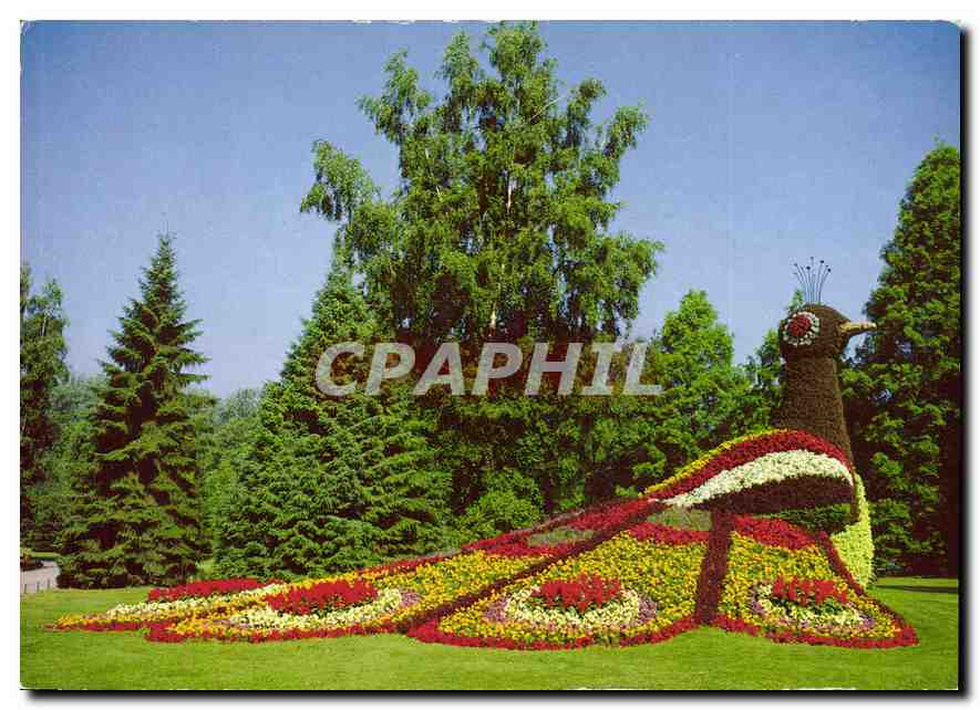 CPM Ile de Mainau au Lac de Constance Paon en fleurs au paradis des enfants 