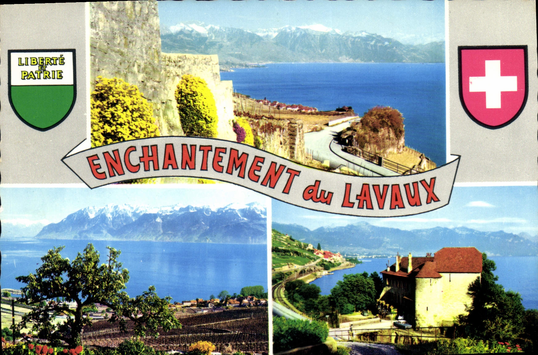 CPM Enchntement du Lavaux La Corniche le Lavaux le Lac Leman Chateau de 