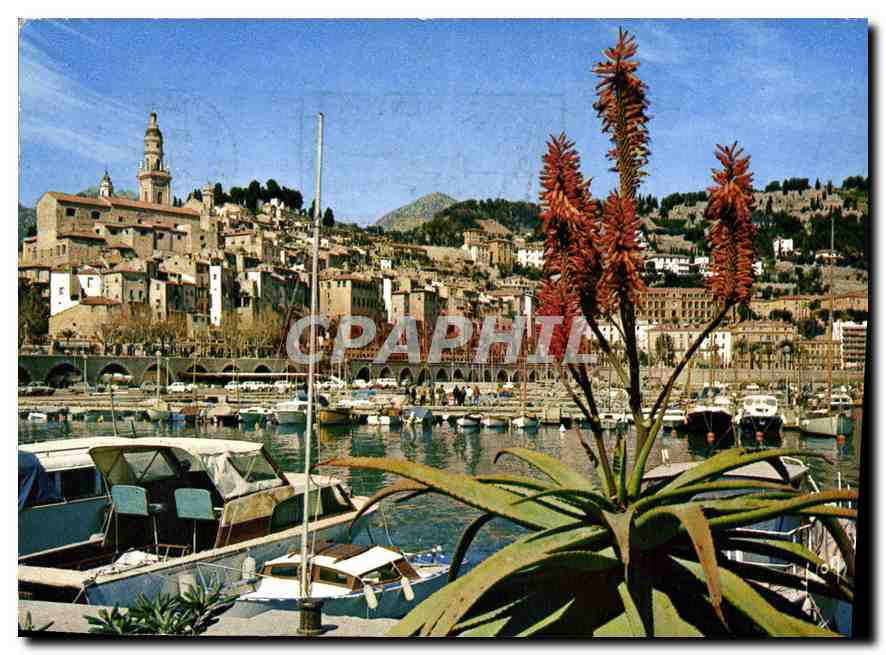 CPM Couleurs et lumiere de France la Cote d'Azur miracle de la nature Menton Alpes Maritimes le Port