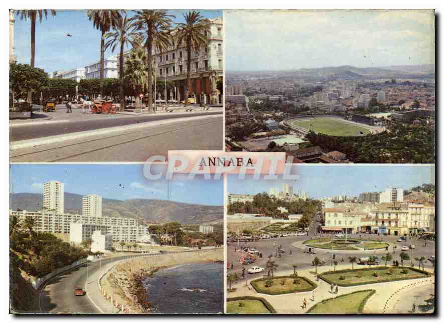 CPM Couleurs et lumieres d'Algerie Annaba 