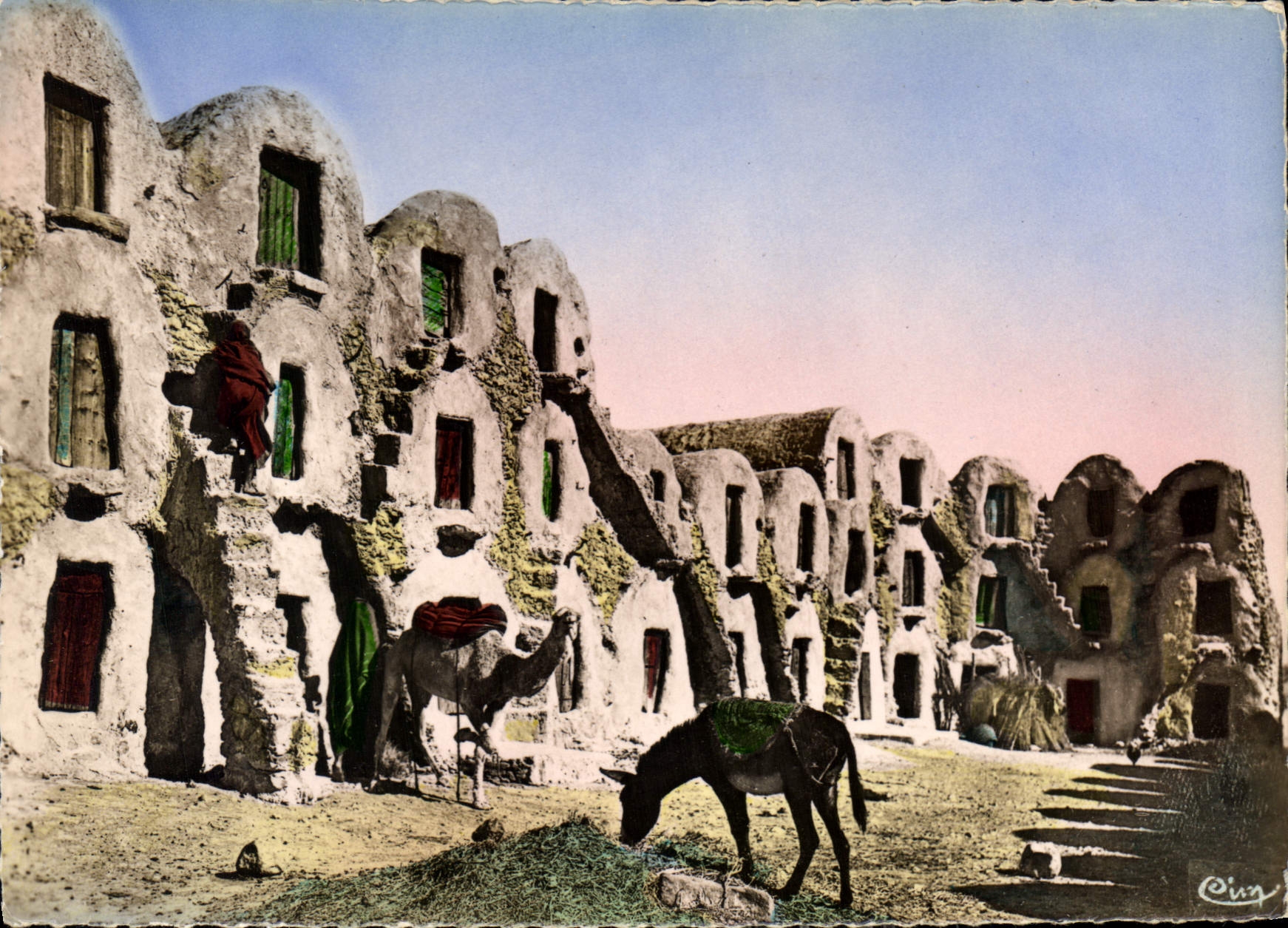 CPM Collection Artistique L'Afrique Les Khorfas du Sud Tunisien Ane Mule