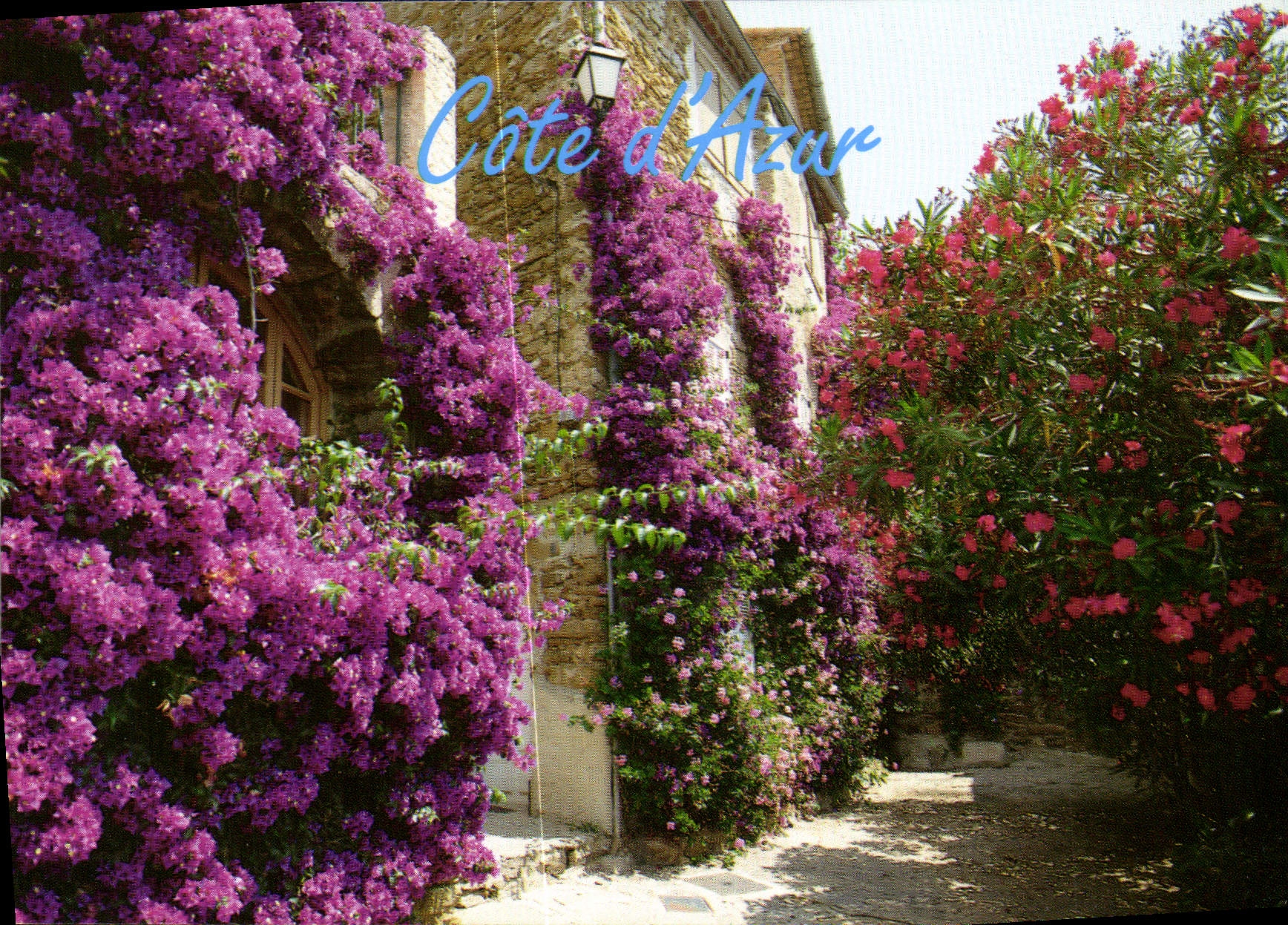 Bougainvillées et lauriers roses dans une ruelle typique — Côte d'Azur — Les Editions Aris, n° 0493