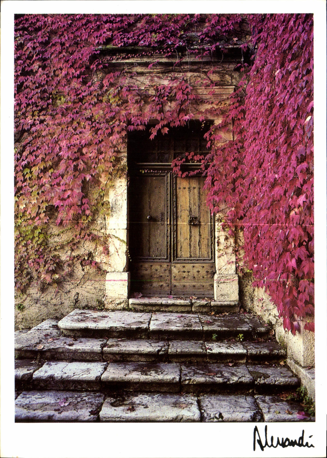 CPM Images & Lumieres Provence Pour vivre heureux vivons caches 