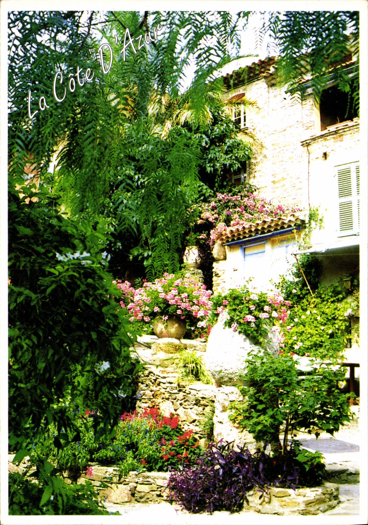 CPM La Cote d'Azur 