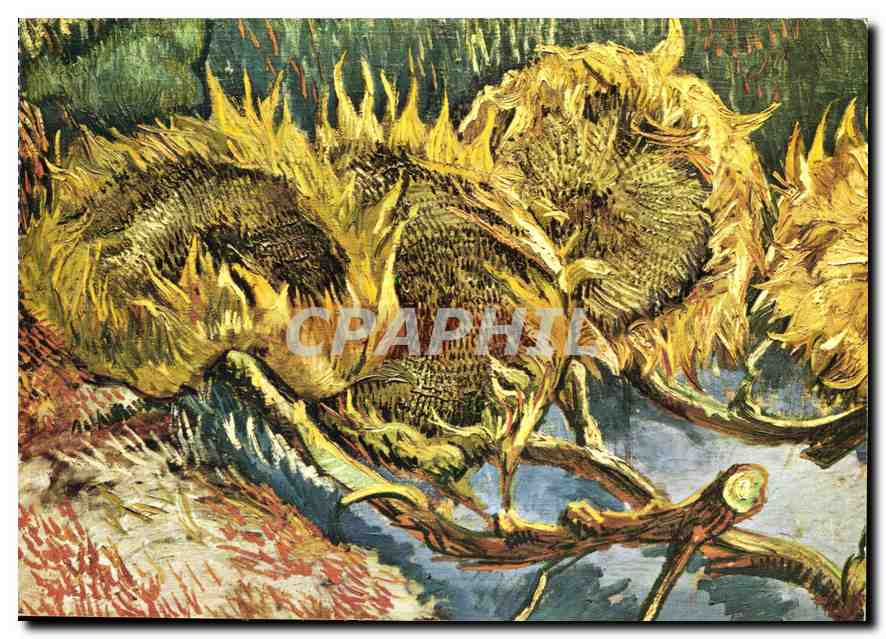 CPM Vincent Van Gogh Quatre fleurs de toumesols Otterlo Rijksmuseum Kroller Muller 