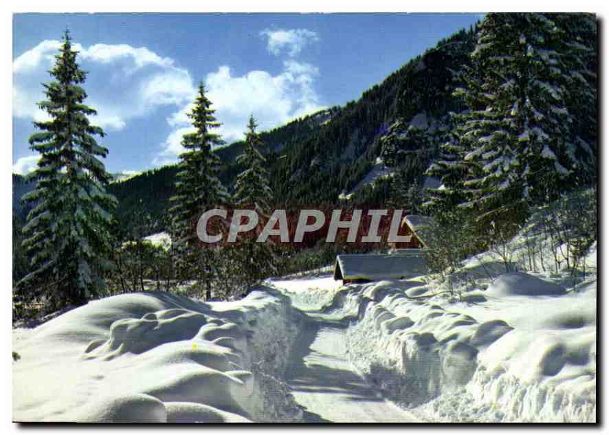 CPM Image de nos Montagnes en hiver Chemin de neige a travers les sapins 