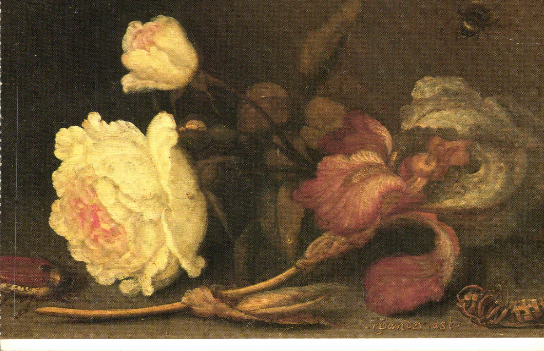CPM Balthasar van der Ast Nature morte iris et rose Utrecht Centraal Museum 