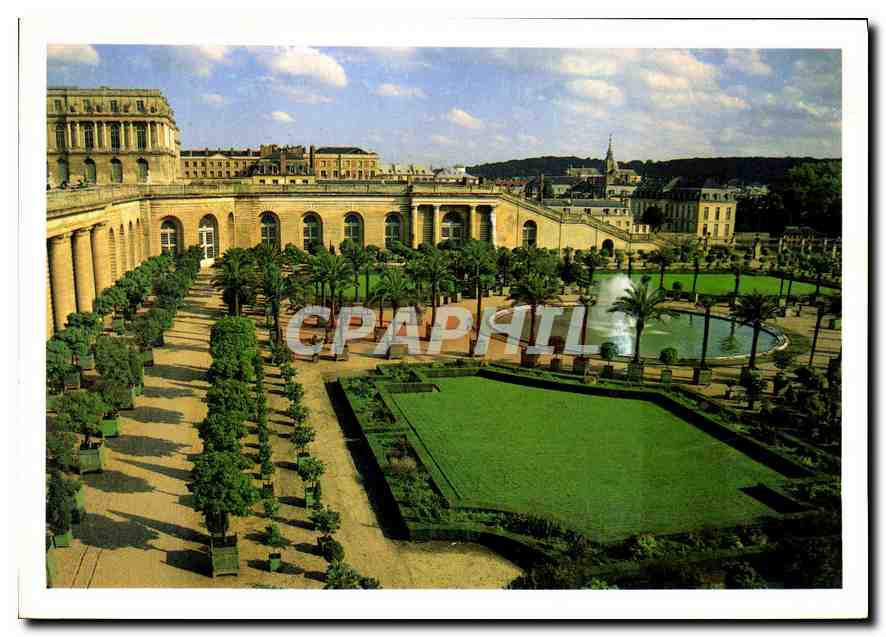 CPM Le Chateau et l'Orangerie Chateau de Versailles 