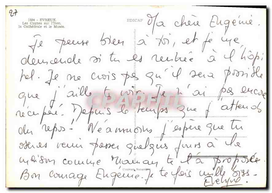 CPM Evreux le Cygnes sur l'Iton la Cathedrale et le Musee  — Back