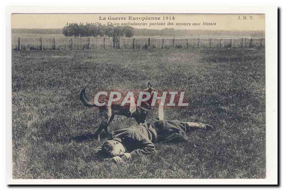 Chien ambulancier portant des secours aux blessés — La Guerre Européenne 1914 — J.M.T.