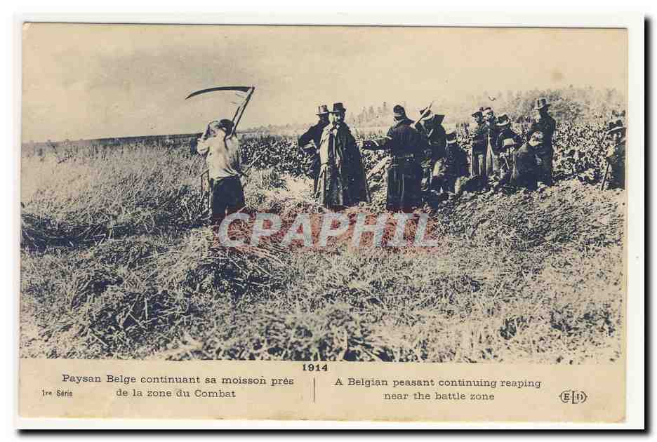 Paysan Belge continuant sa moisson pres de la zone de combat Belgian peasant continuing reaping in battle zone Anime CPA