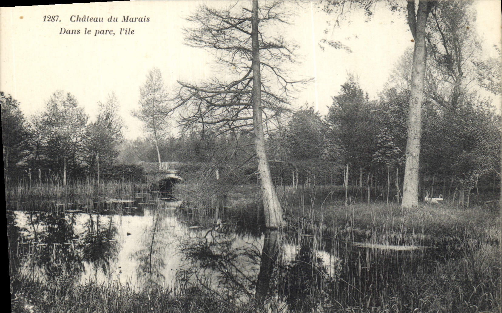 CPA Chateau du Marais Dans Le parc l'ile 