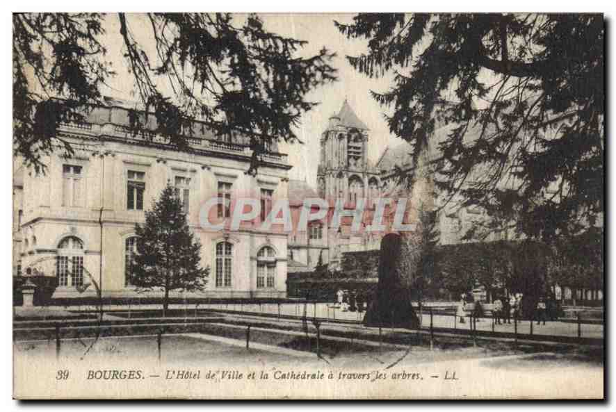 Bourges — L'Hôtel de Ville et la Cathédrale à travers les arbres — LL