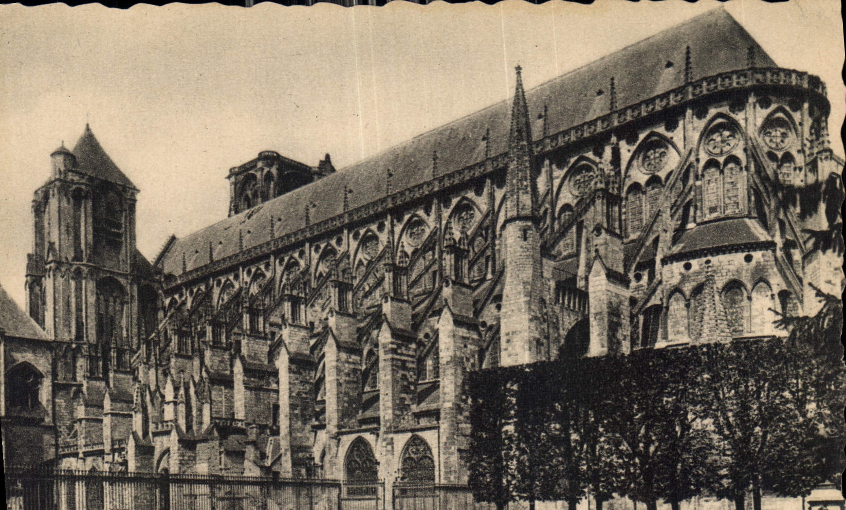 CPA Bourges La Cathedrale prise du Jardin del'Hotel de Ville 