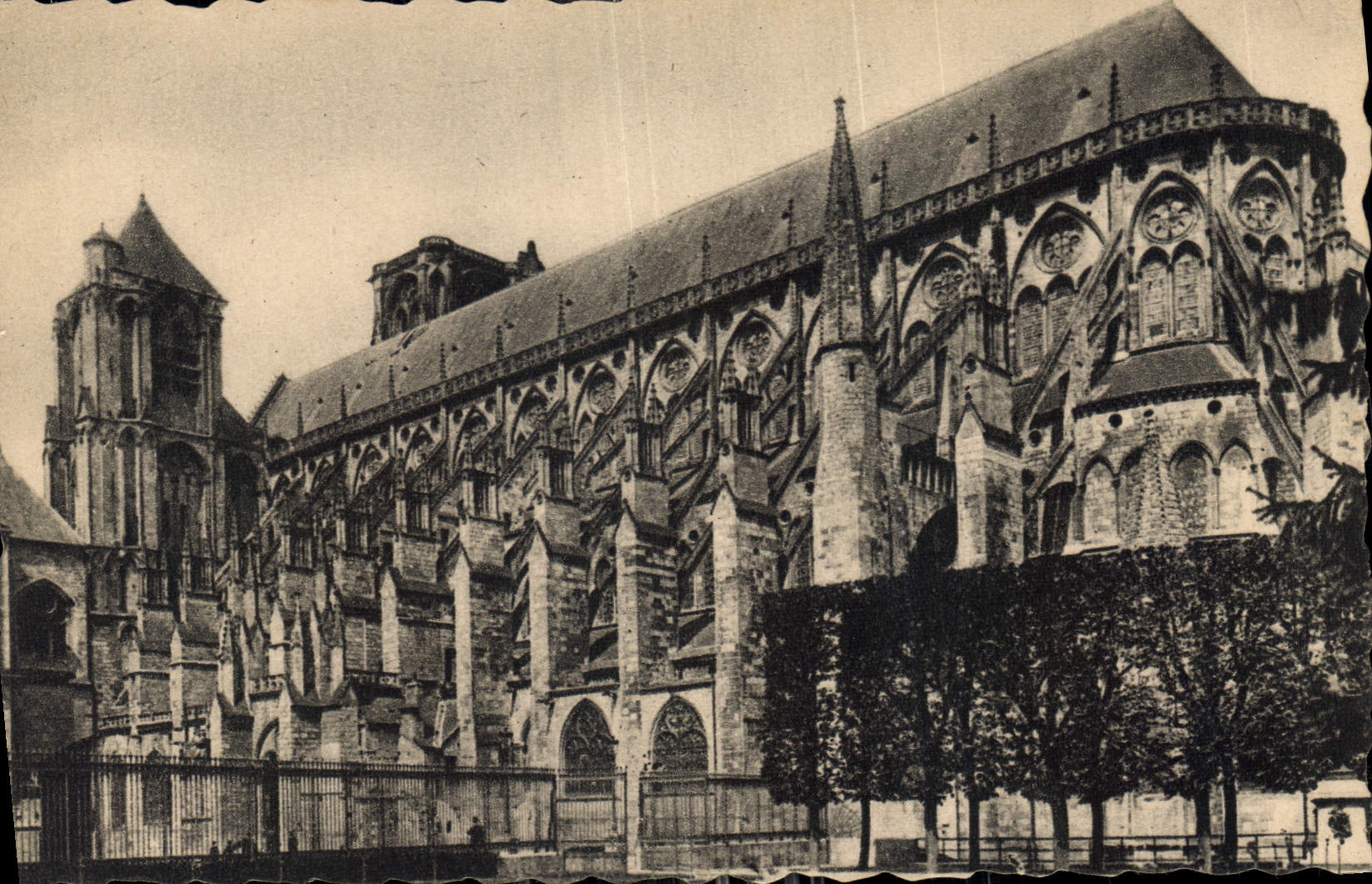 CPA Bourges La Cathedrale vue prise du Jardin de l'Hotel de Ville 