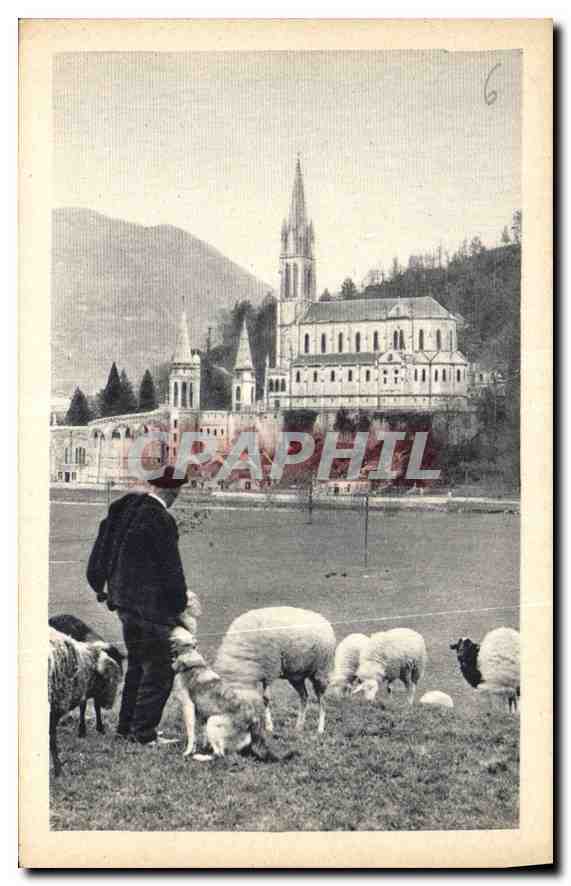 CPA Lourdes La Basilique Berger Moutons