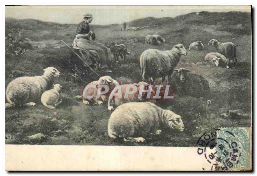 CPA Bergere Moutons