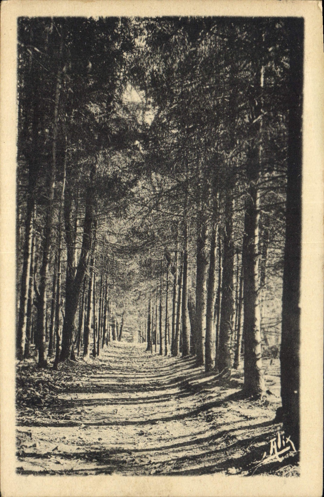 Les Pyrénées — Bagnères-de-Bigorre — Promenade du Bedat — Petites Vosges — Éditions ALIX