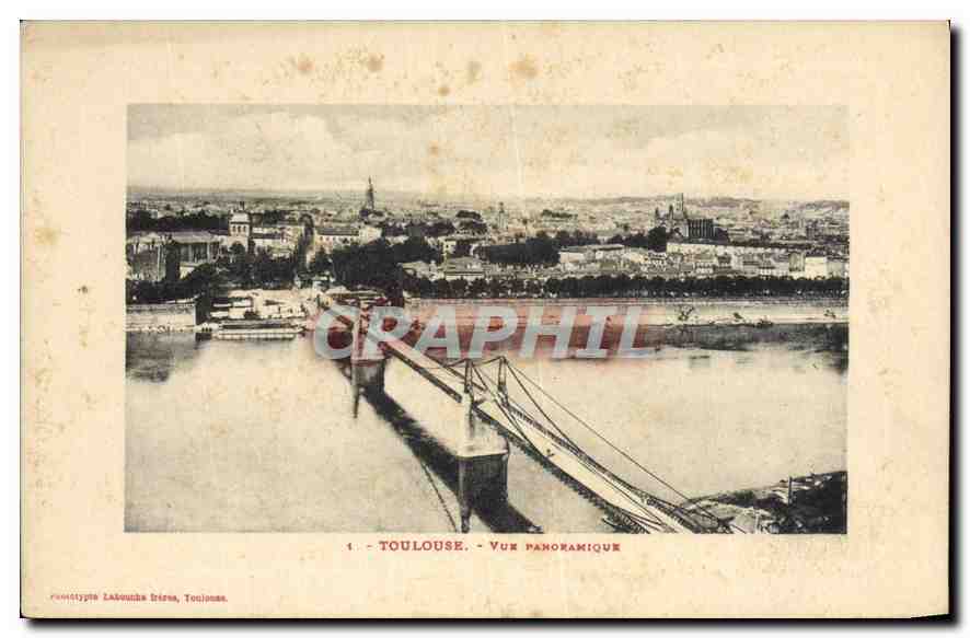 CPA Toulouse vue panoramique 