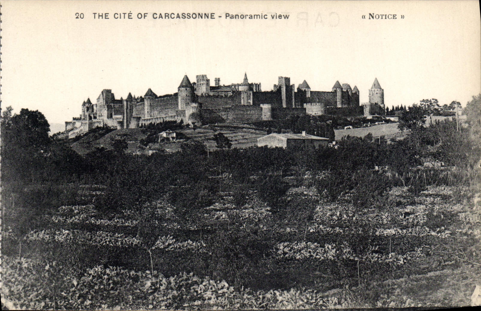 CPA The Cite of Carcassonne la vue panoramique 
