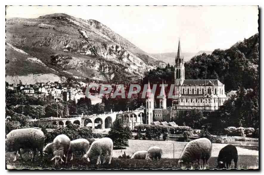 CPA Lourdes la Basilique et le Pic du Jer 