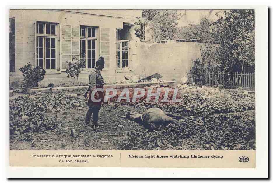 Chasseur d'Afrique assistant a l'agonie de son cheval African light horse watching his horse dying Animation CPA