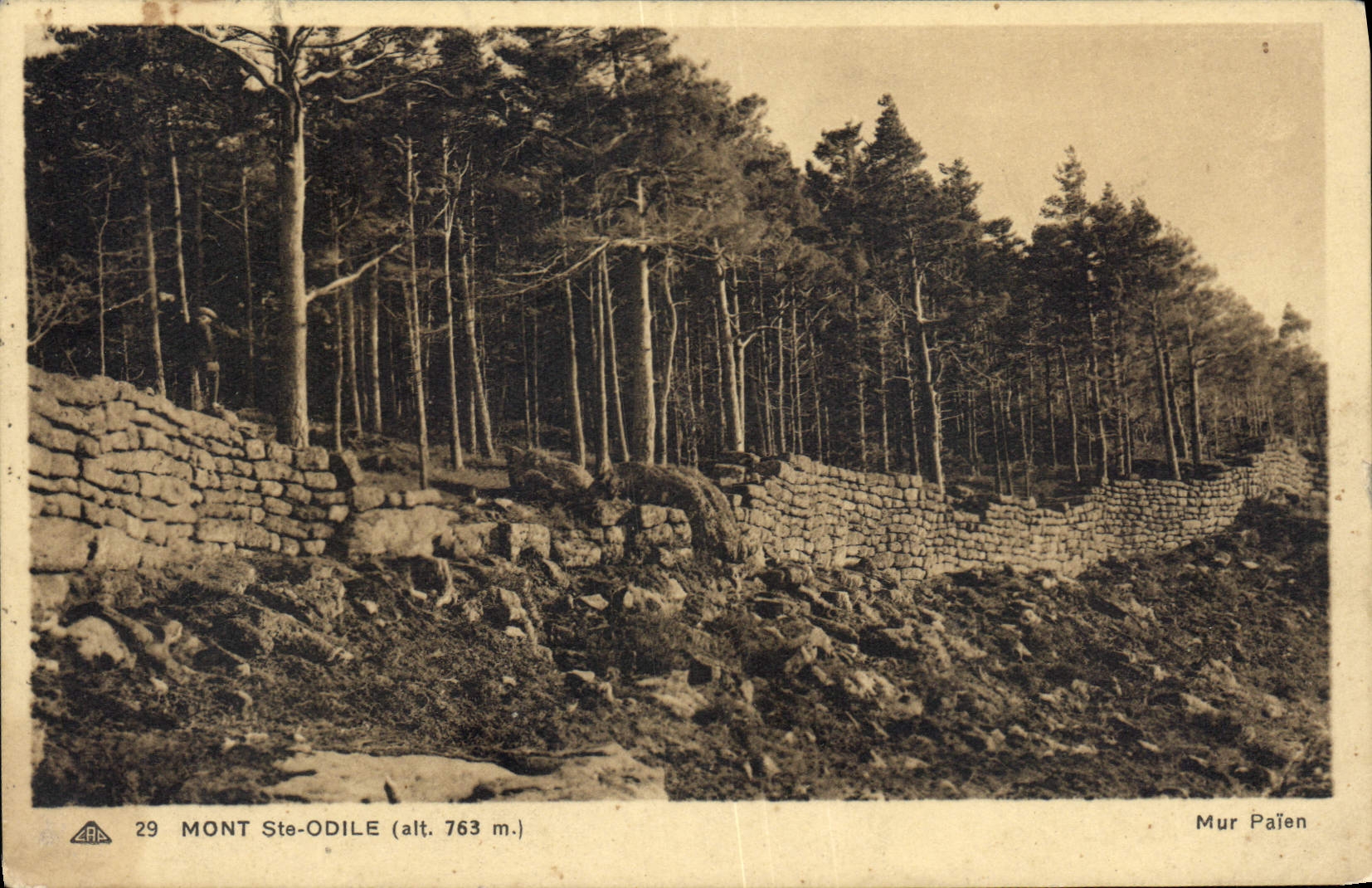 CPA Mont Ste Odile 