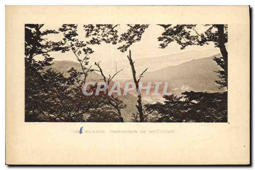 CPA Alsace Panorama De Metzeral 