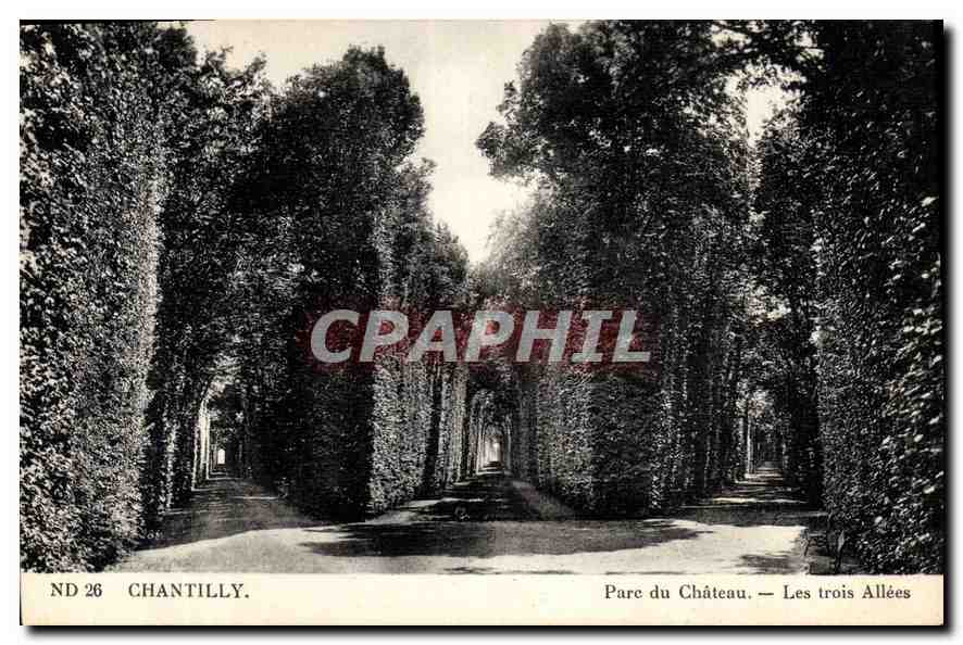 CPA Chantilly Parc du Chateau 
