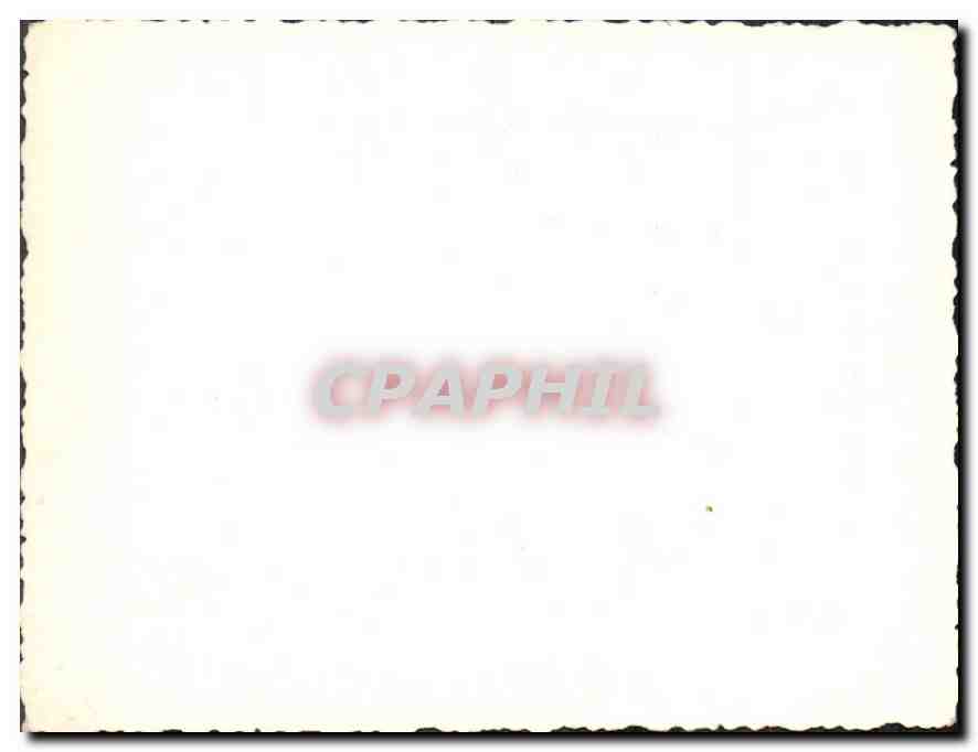 Photo Infirmieres — Rückseite
