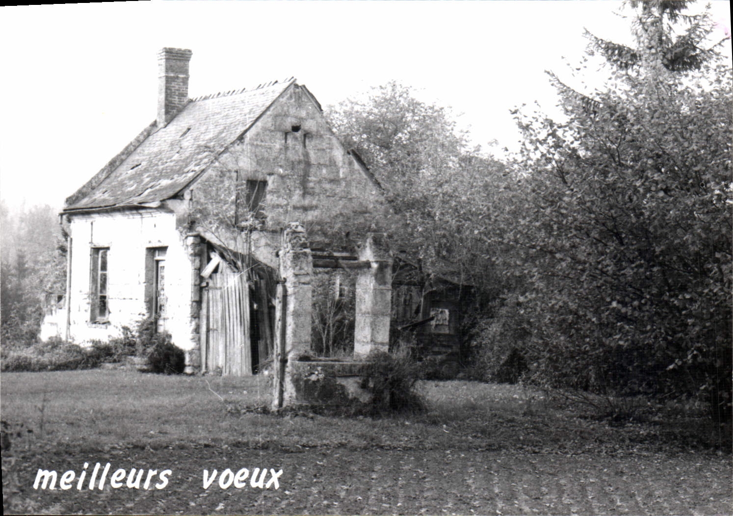 Photo maison
