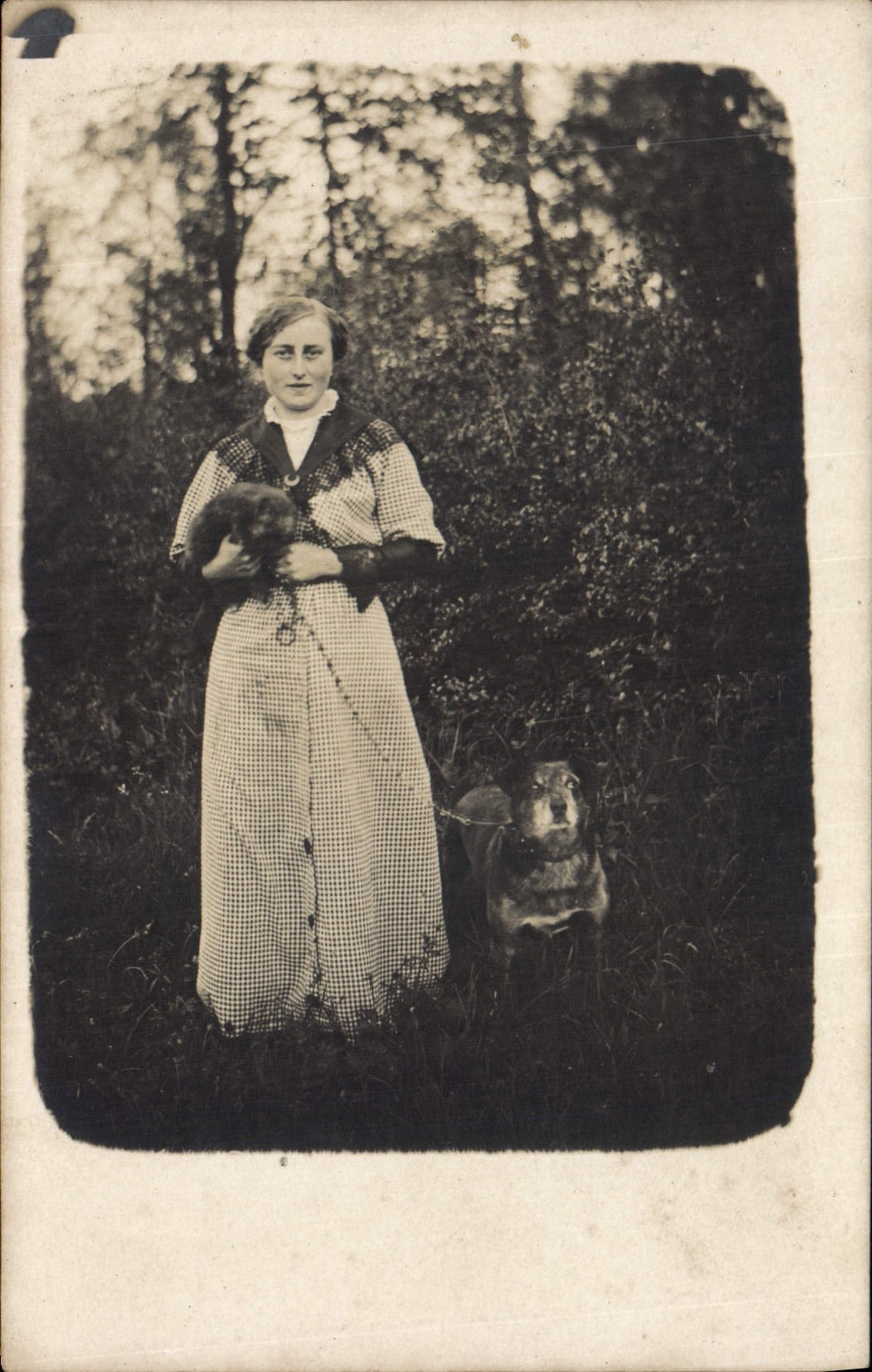 Femme avec deux chiens — forêt — carte postale ancienne