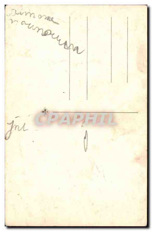CARTE PHOTO Arbre — Verso