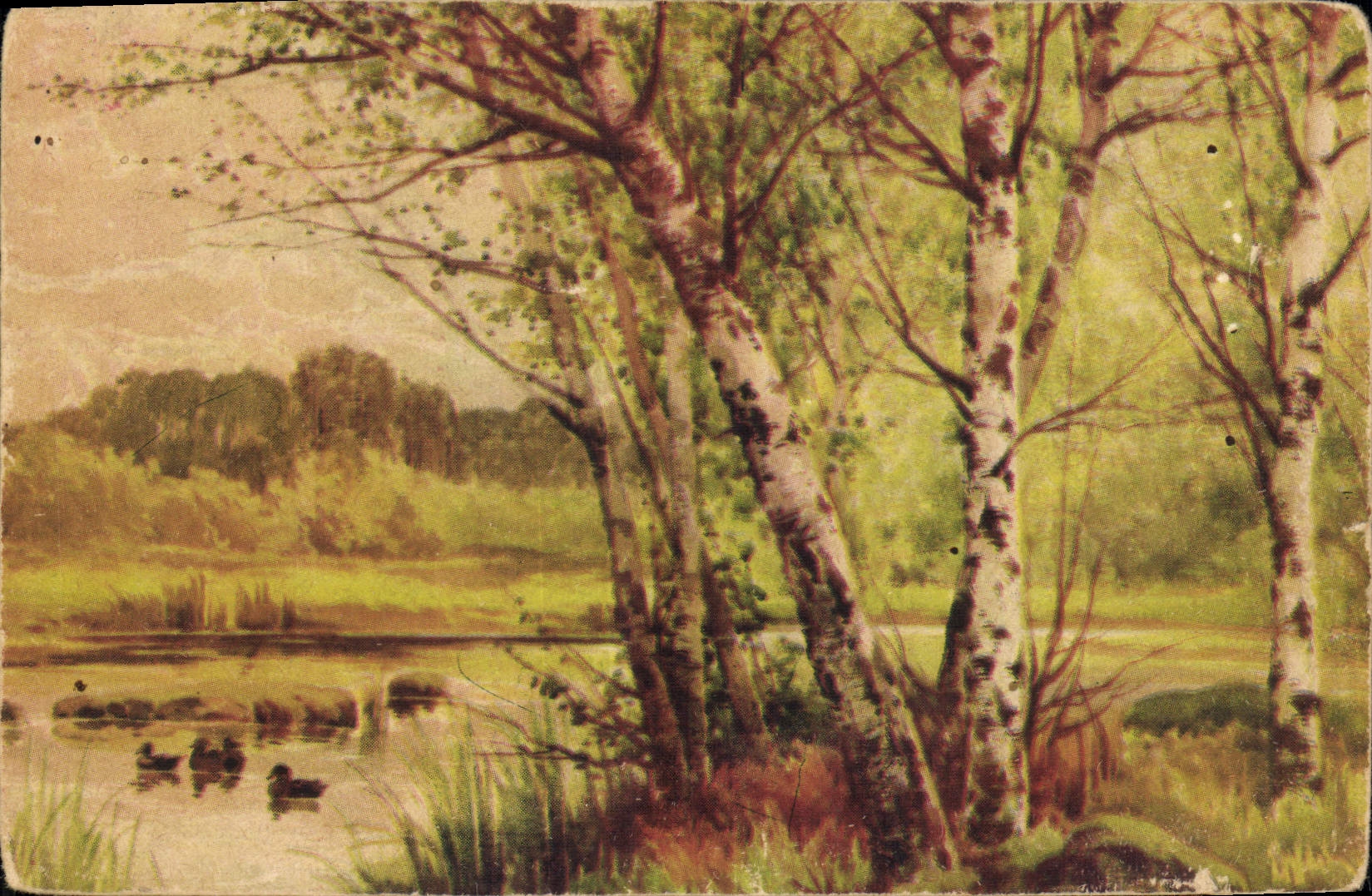 CPA Arbres