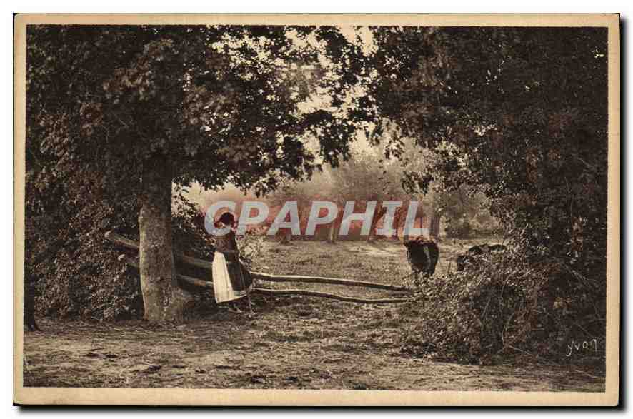 CPA Fermiere et vache