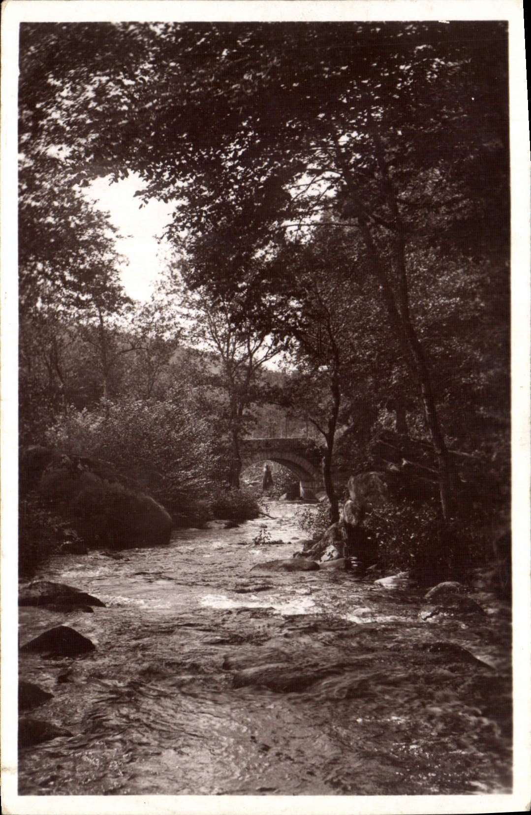 CPA Monastere de la Pierre qui vire Le Pont du Chevreuil 