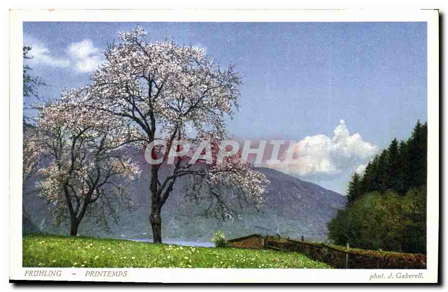 CPA Fruhling Printemps 