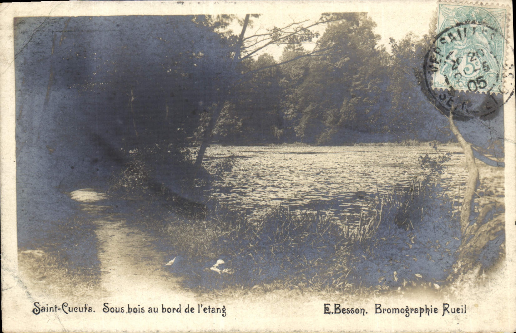 CPA Saint Cucufa Sous bois au bord de l'etang 