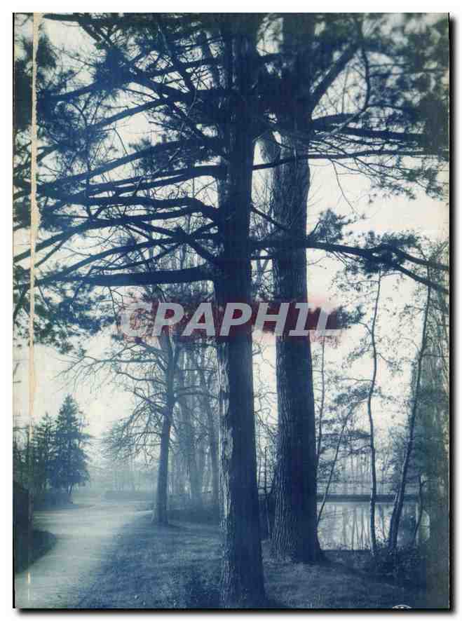 CPA Arbres