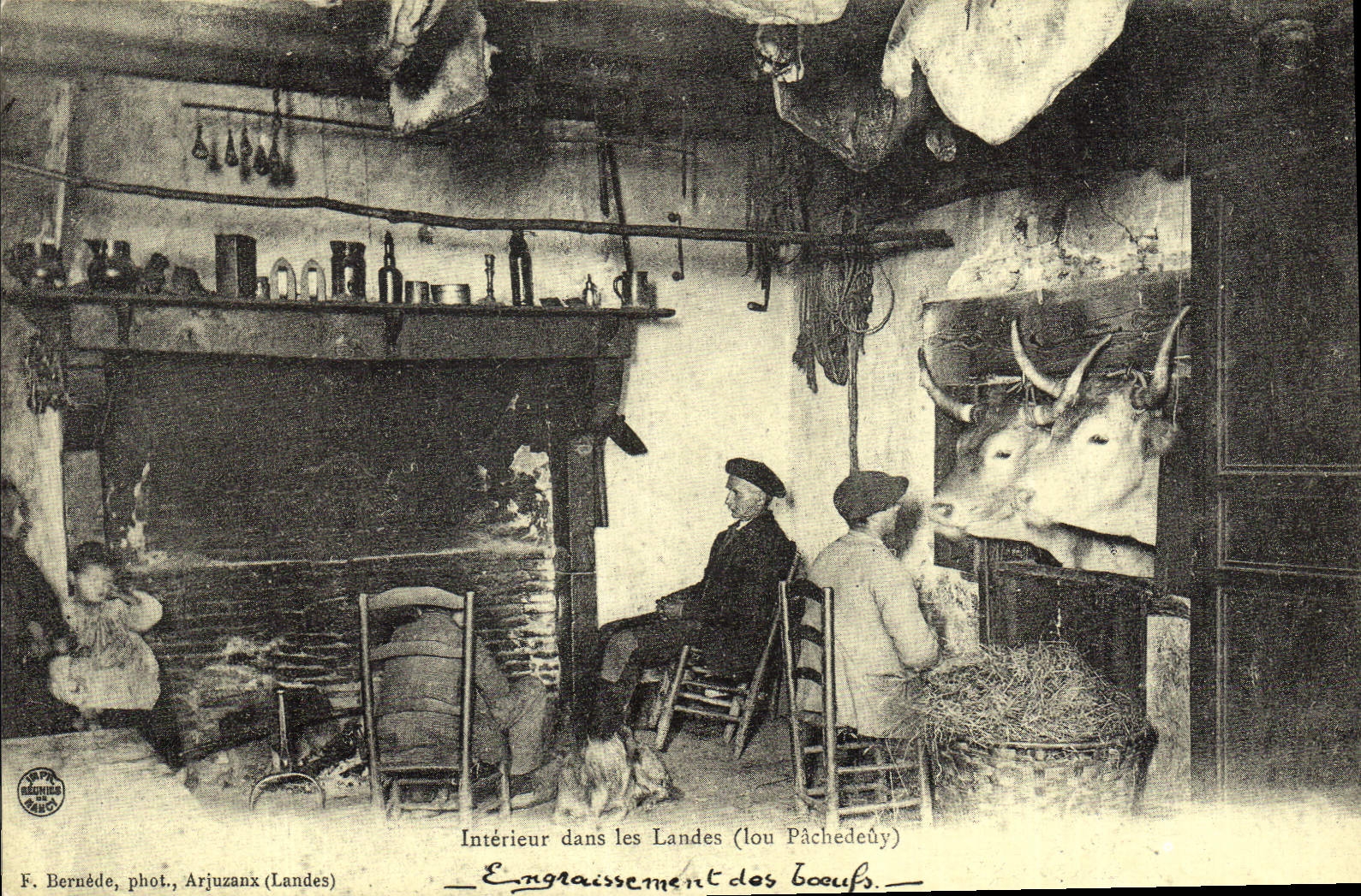 REPRO Interieur dans les Landes 