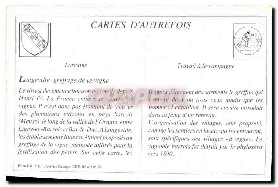 REPRO Etablissement de Viticulture et d'Horticulture Le Greffage de la Vigne Buisson Longeville Meus — Rückseite