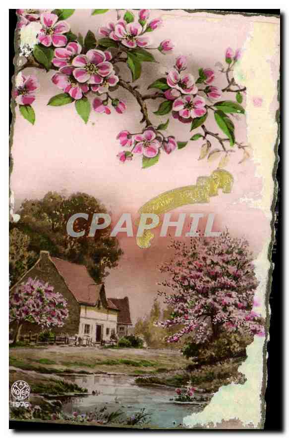 CPA Fleurs