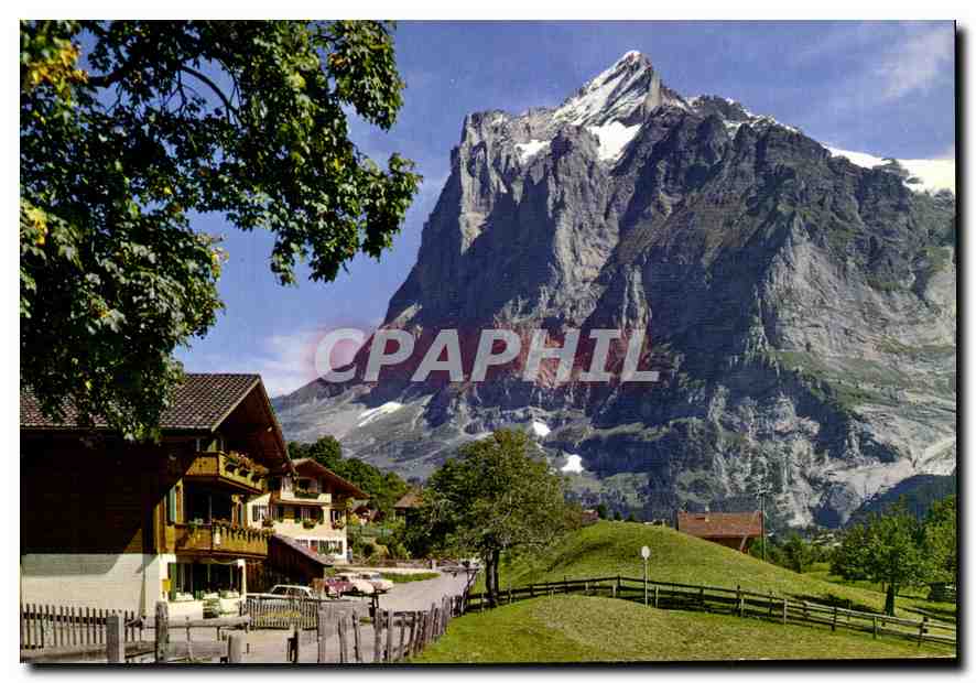 CPA Grindelwald Am Terrassenweg Wetterhorn 